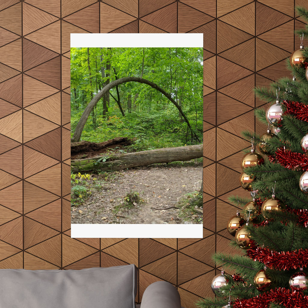 Forest Trail Matte Poster — Green Woodland Nature Photography