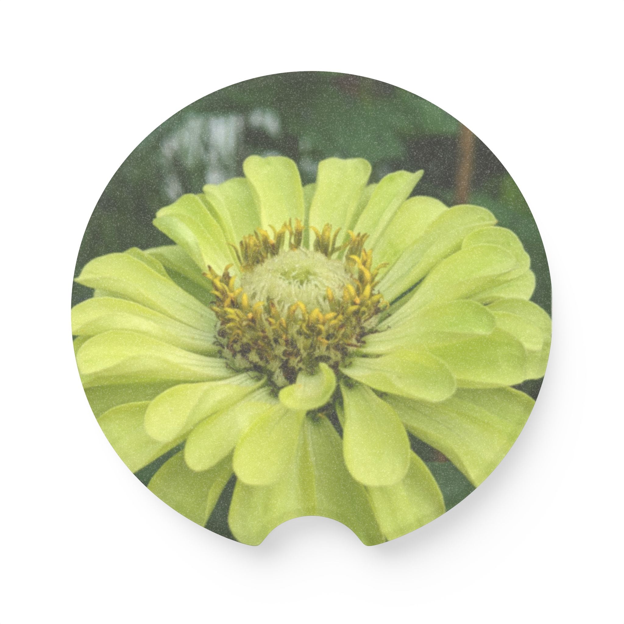 Yellow Zinnia Soapstone Car Coaster — Floral Drink Holder for Cupholders