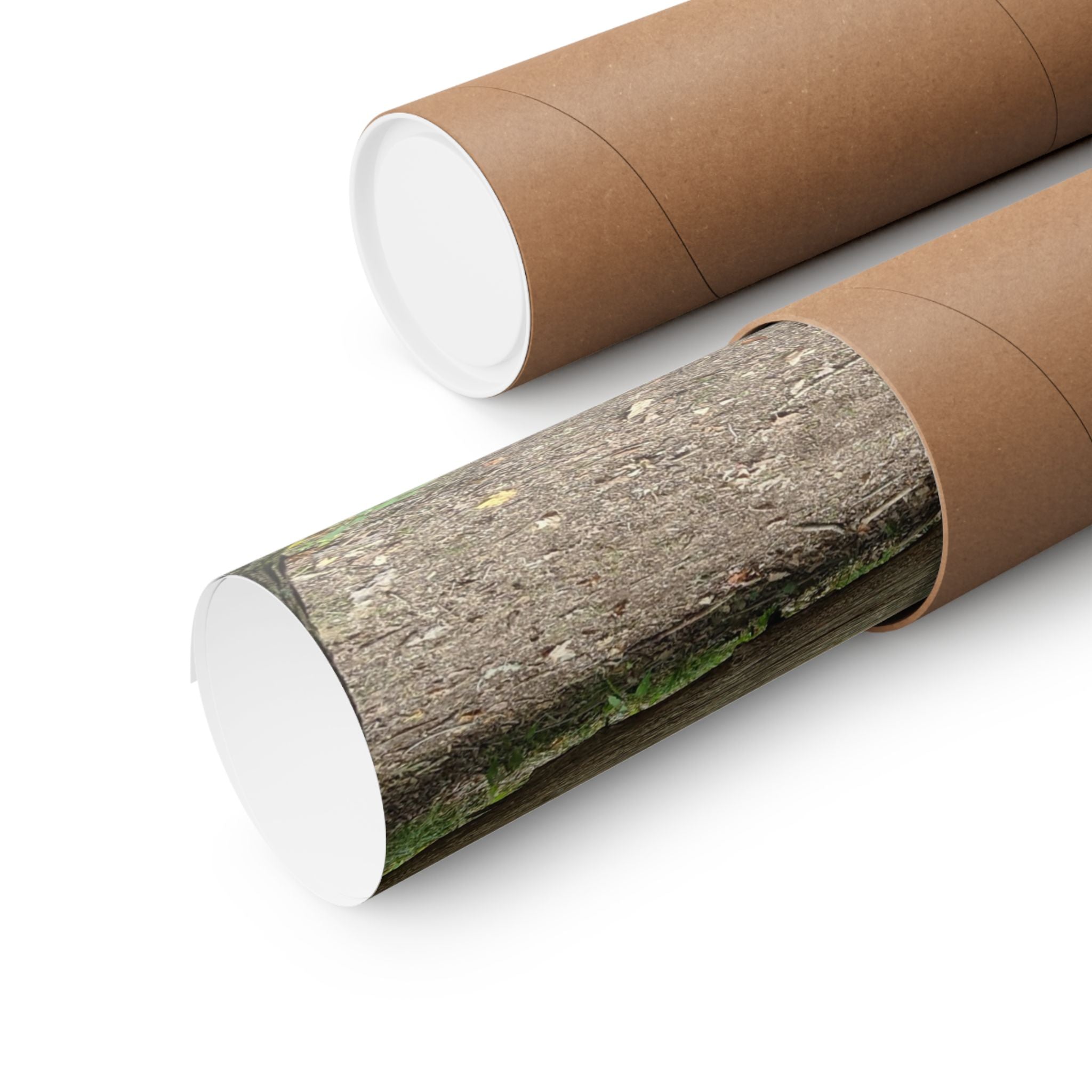 Forest Trail Matte Poster — Green Woodland Nature Photography