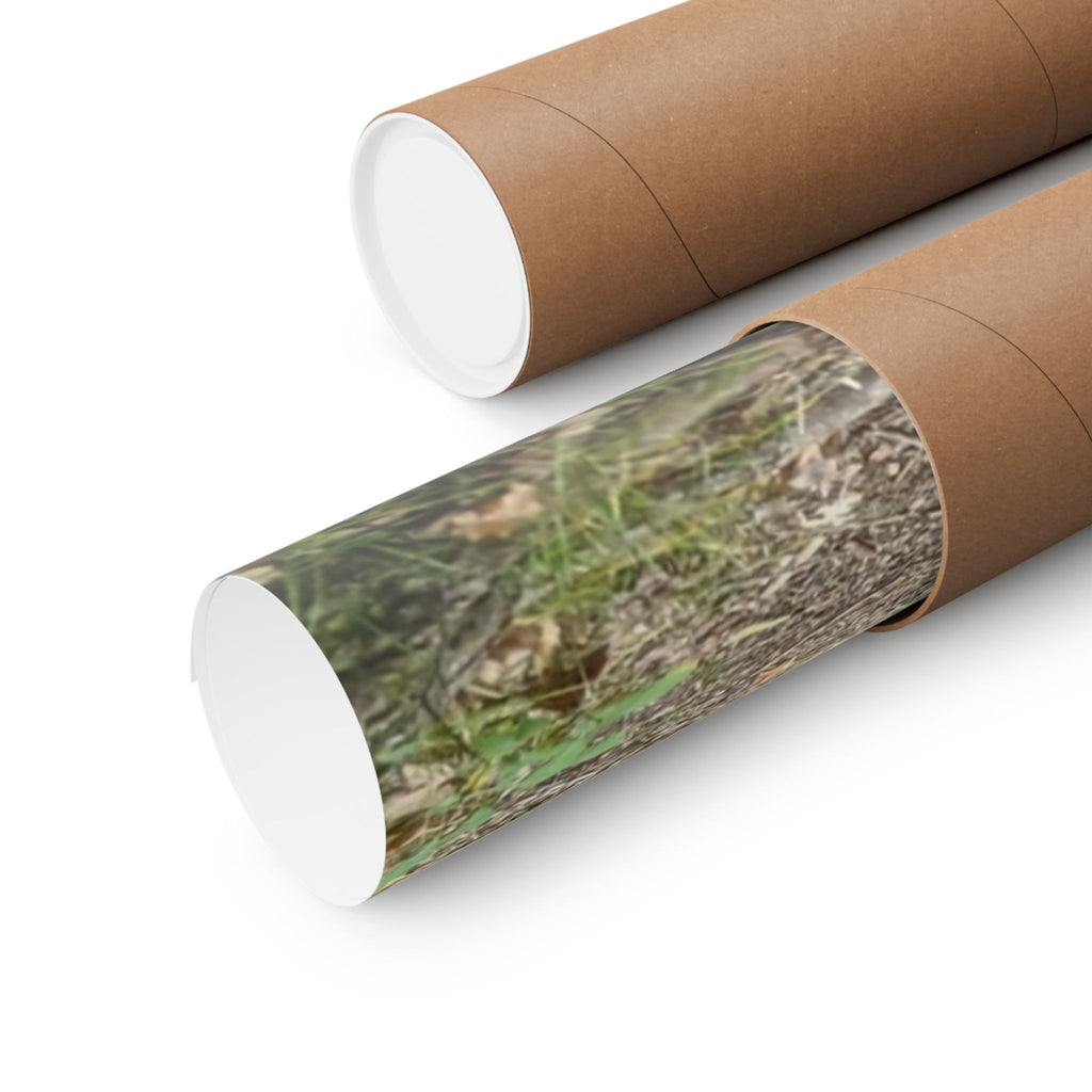 Forest Trail Matte Poster — Green Woodland Nature Photography Wall Art, Hiking Trail Print, 46 Sizes