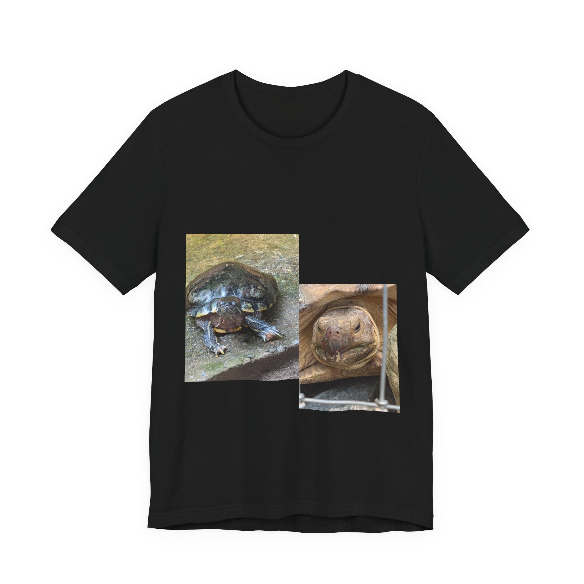 Turtle Photo Collage Tee — Cute Turtle Lovers T-Shirt