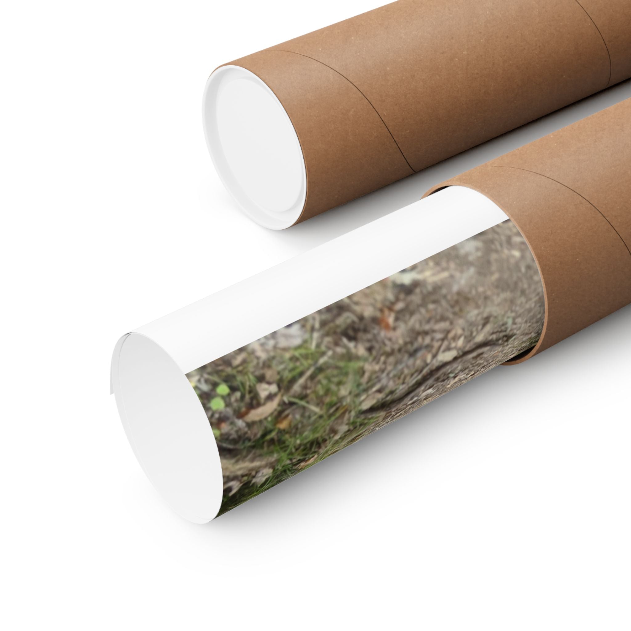Forest Trail Matte Poster — Green Woodland Nature Photography
