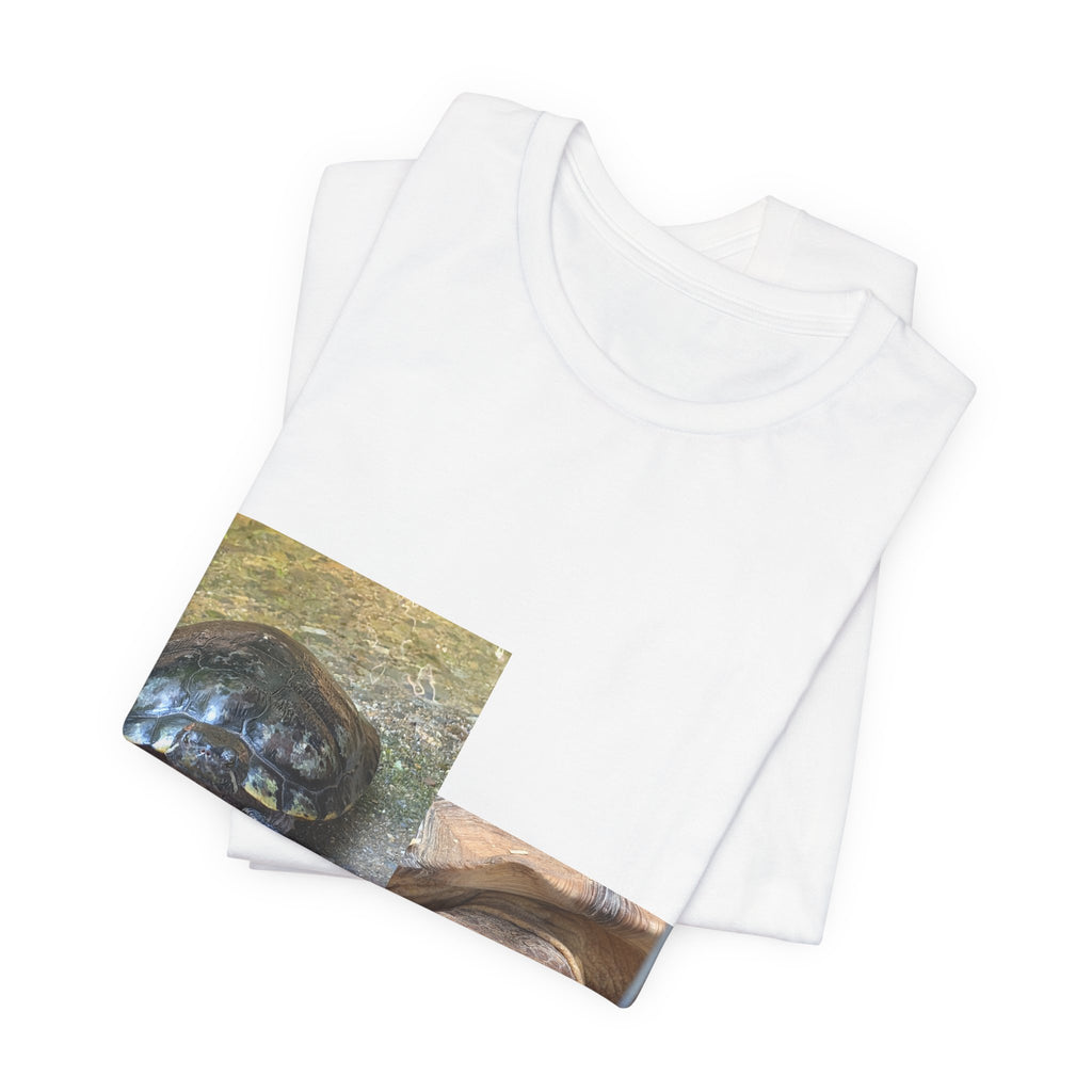 Turtle Photo Collage Tee — Cute Turtle Lovers T-Shirt