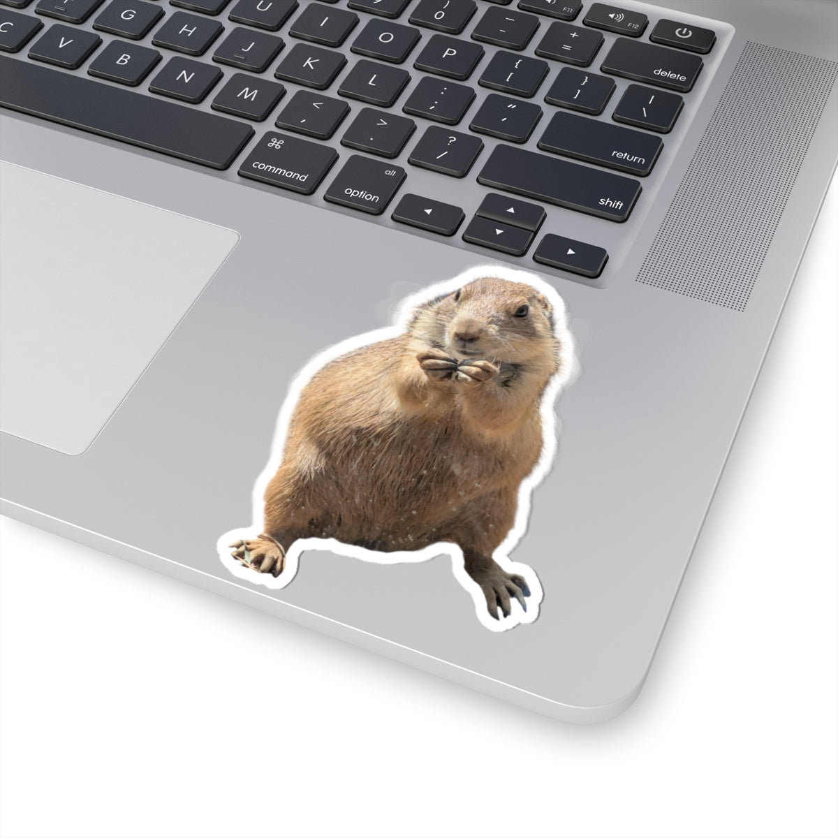 Prairie Dog Kiss-Cut Sticker — Cute Wildlife Laptop Decal