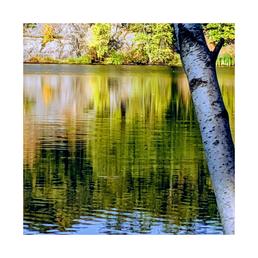 Birch Lake Reflection Matte Poster — Nature Photography Wall Art, Woodland Landscape Print, 46 Sizes