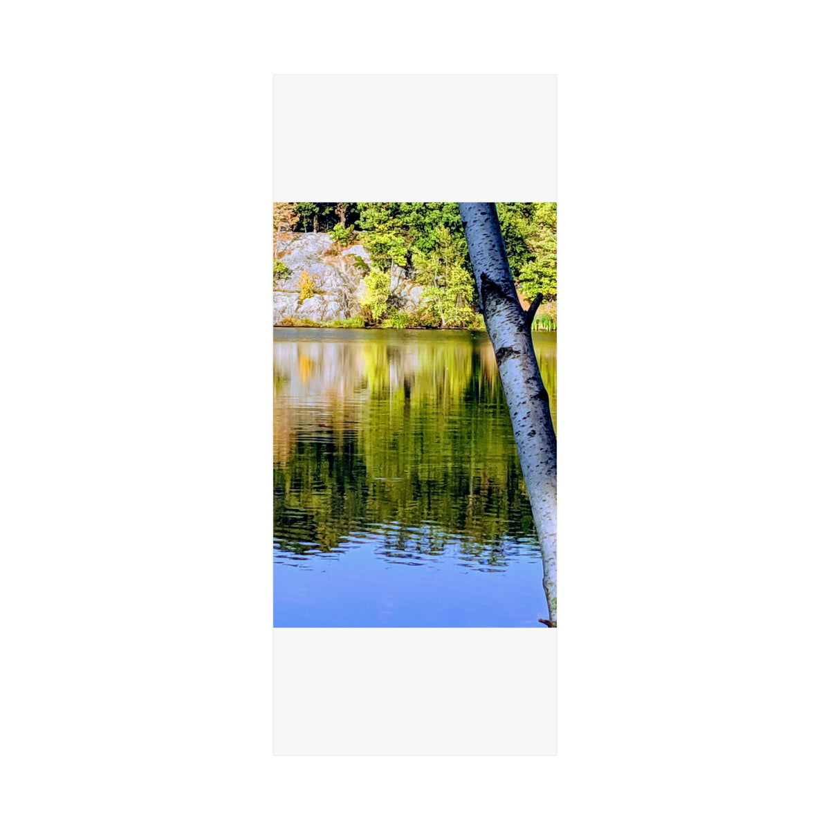 Birch Lake Reflection Matte Poster — Nature Photography Wall Art, Woodland Landscape Print, 46 Sizes