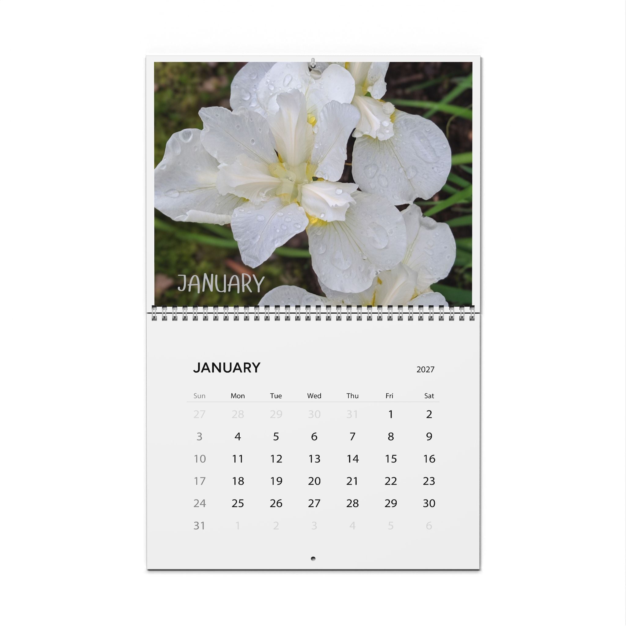 2027 Floral Wall Calendar — Monthly Botanical Photo Calendar, 11×8.5" or 14×11.5"