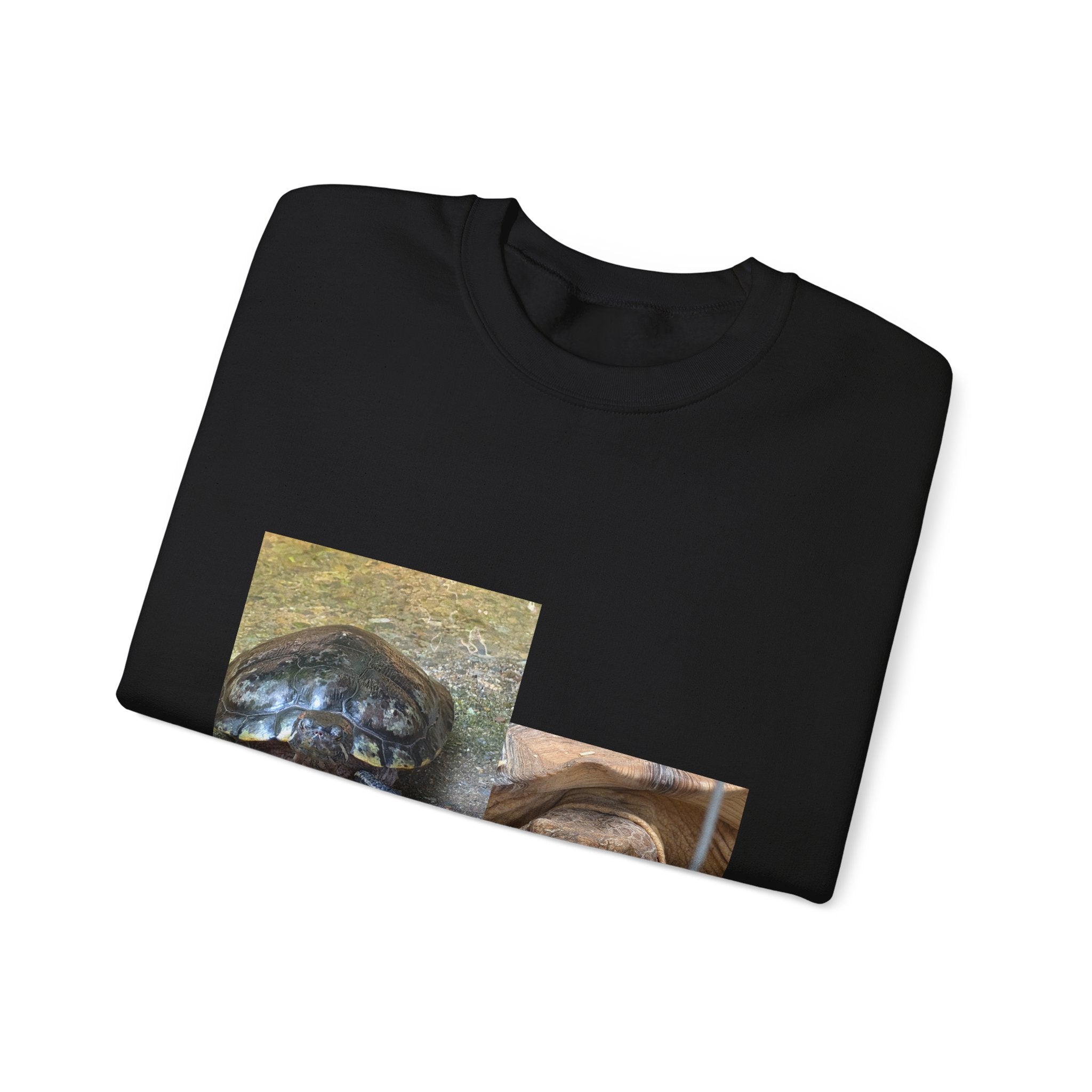 Turtle Photo Crewneck Sweatshirt – Cute Turtle Face Collage Pullover