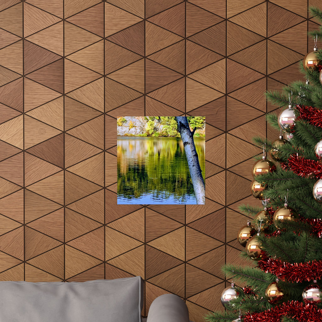 Birch Lake Reflection Matte Poster — Vertical Nature Wall Art