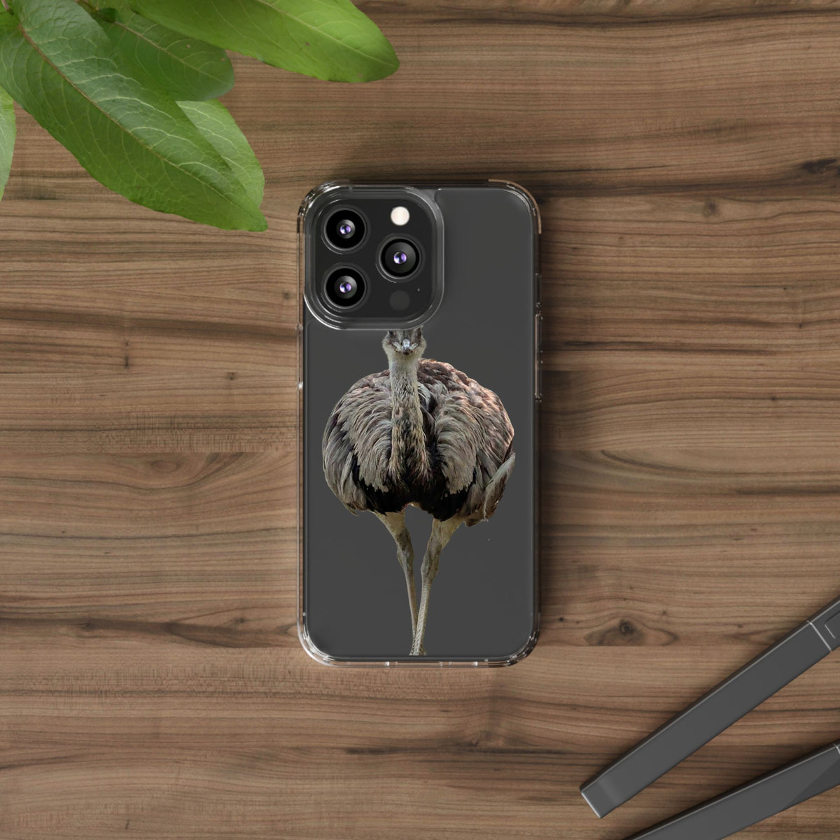 Clear Emu Bird iPhone Case — Cute Wildlife Nature Photo Design, Impact-Resistant Clear Phone Cover, Bird Lover Gift