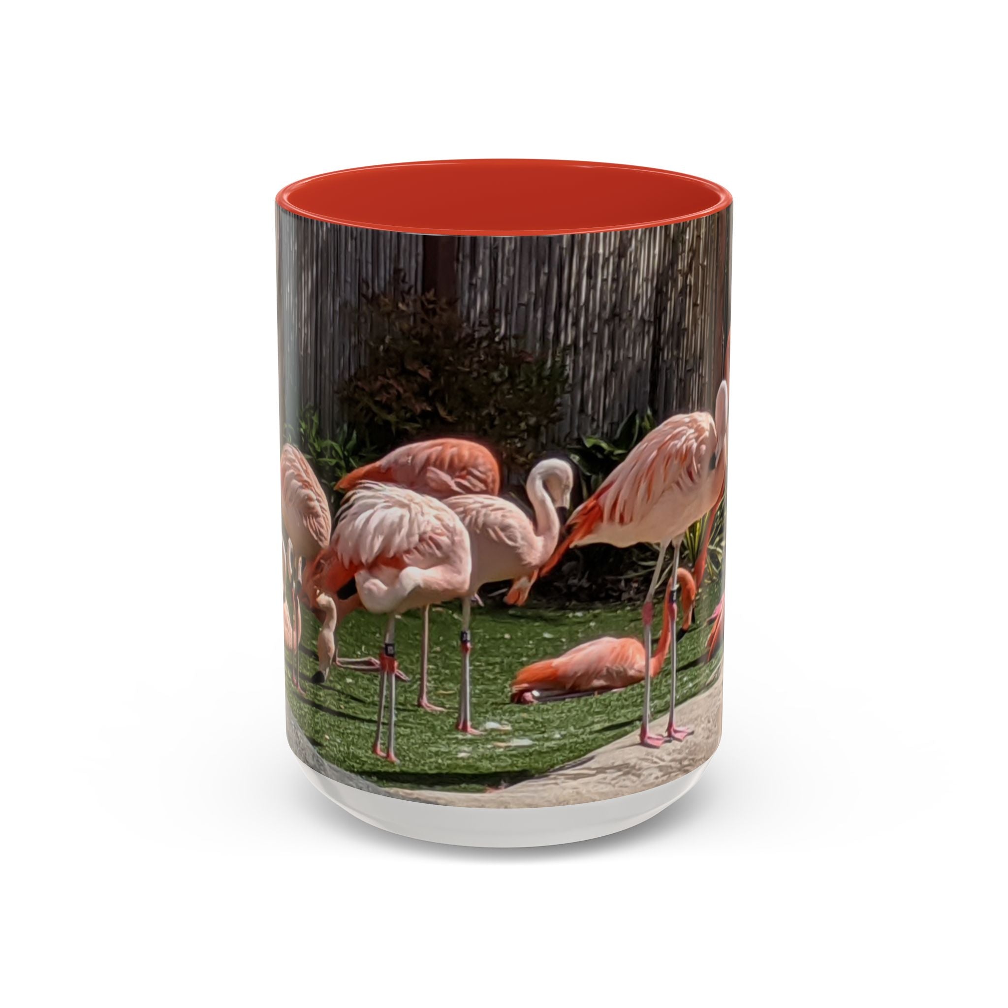 Flamingo Flock Accent Coffee Mug — Tropical Pink Bird Photo (11/15 oz)