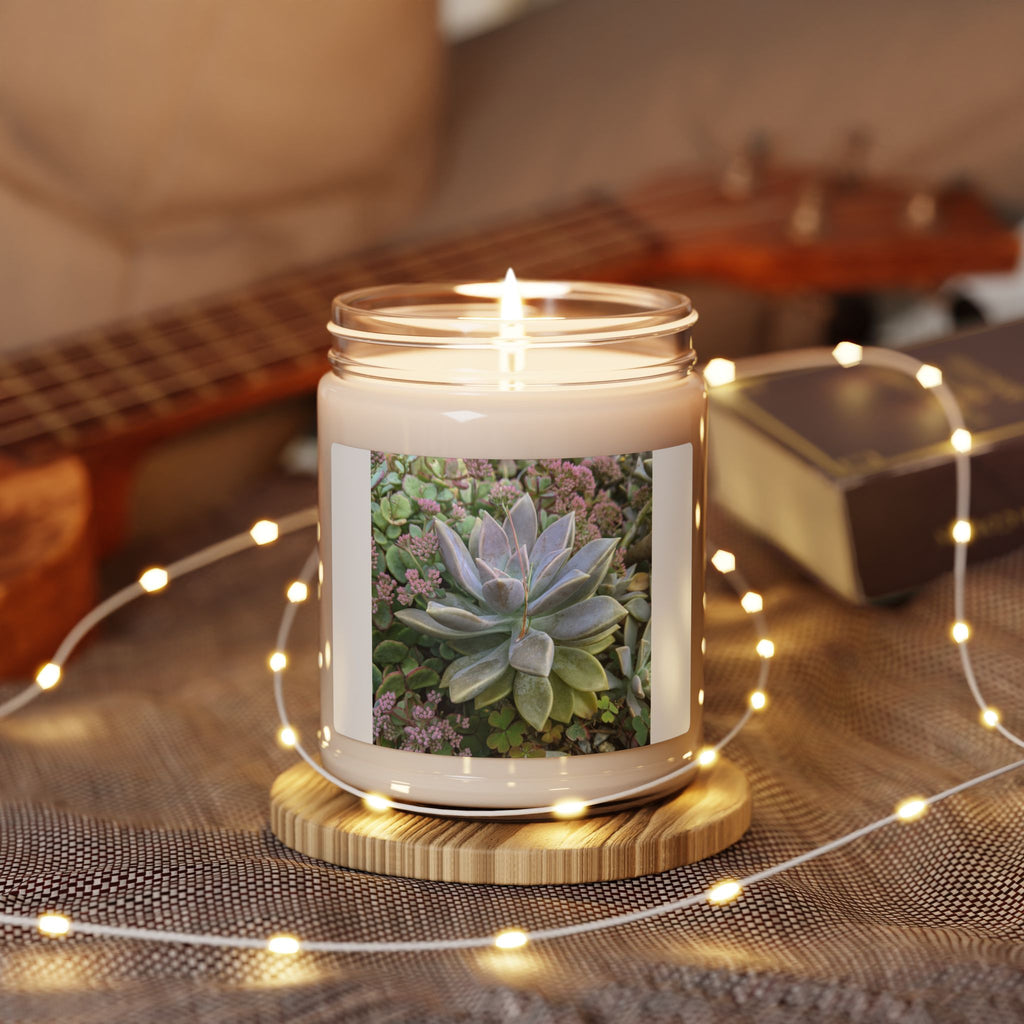 Scented Soy Candle, 9oz