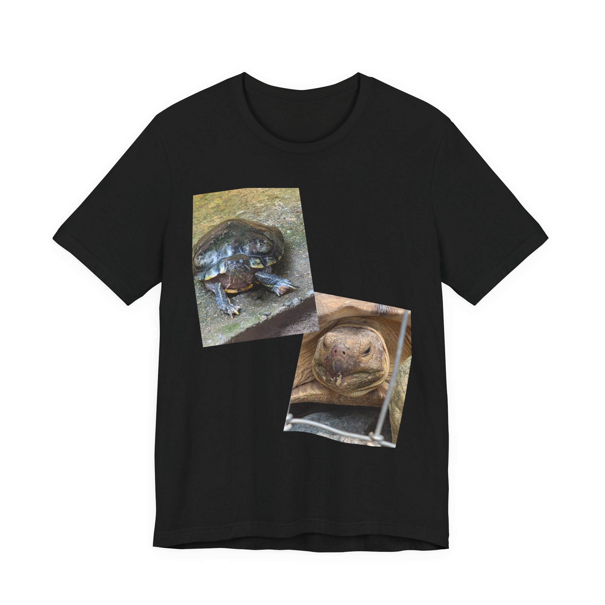 Turtle Photo Collage Tee — Cute Turtle Lovers T-Shirt