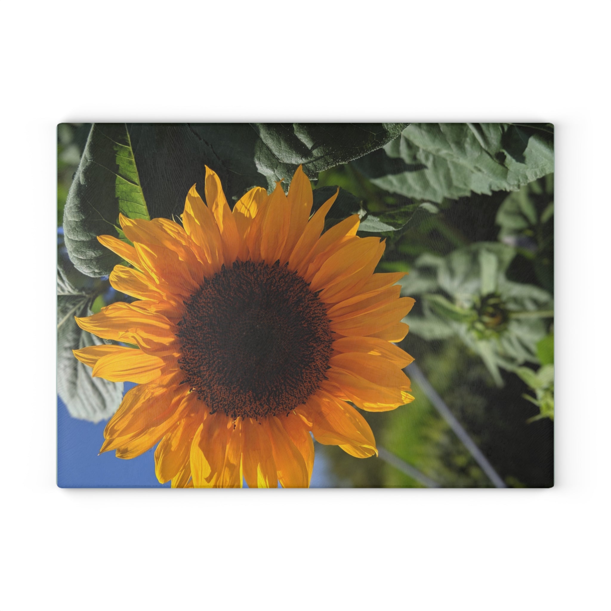 Sunflower Glass Cutting Board — Floral Kitchen Decor & Chopping Board