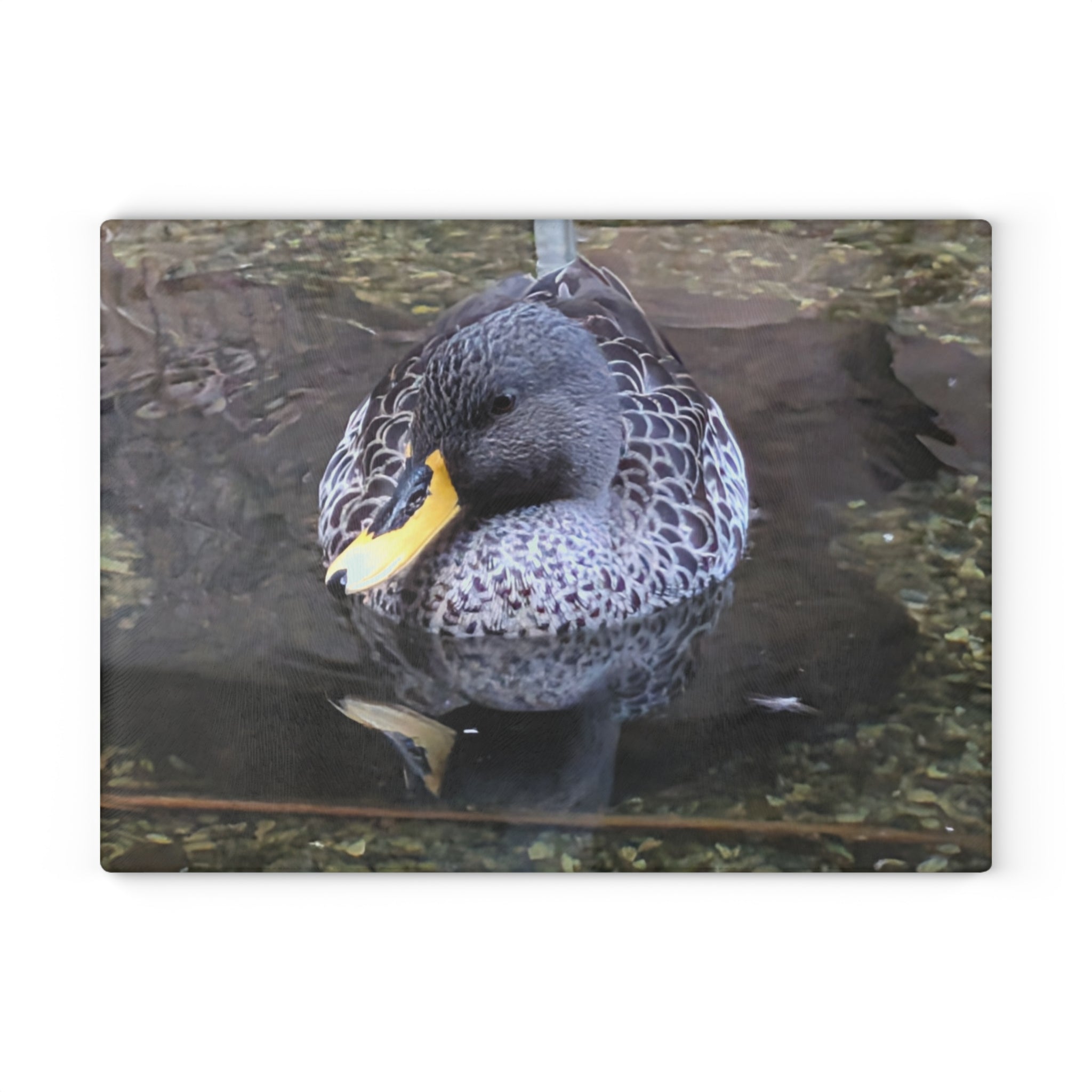Nature Photography Duck Glass Cutting Board — Floral Kitchen Decor & Gift