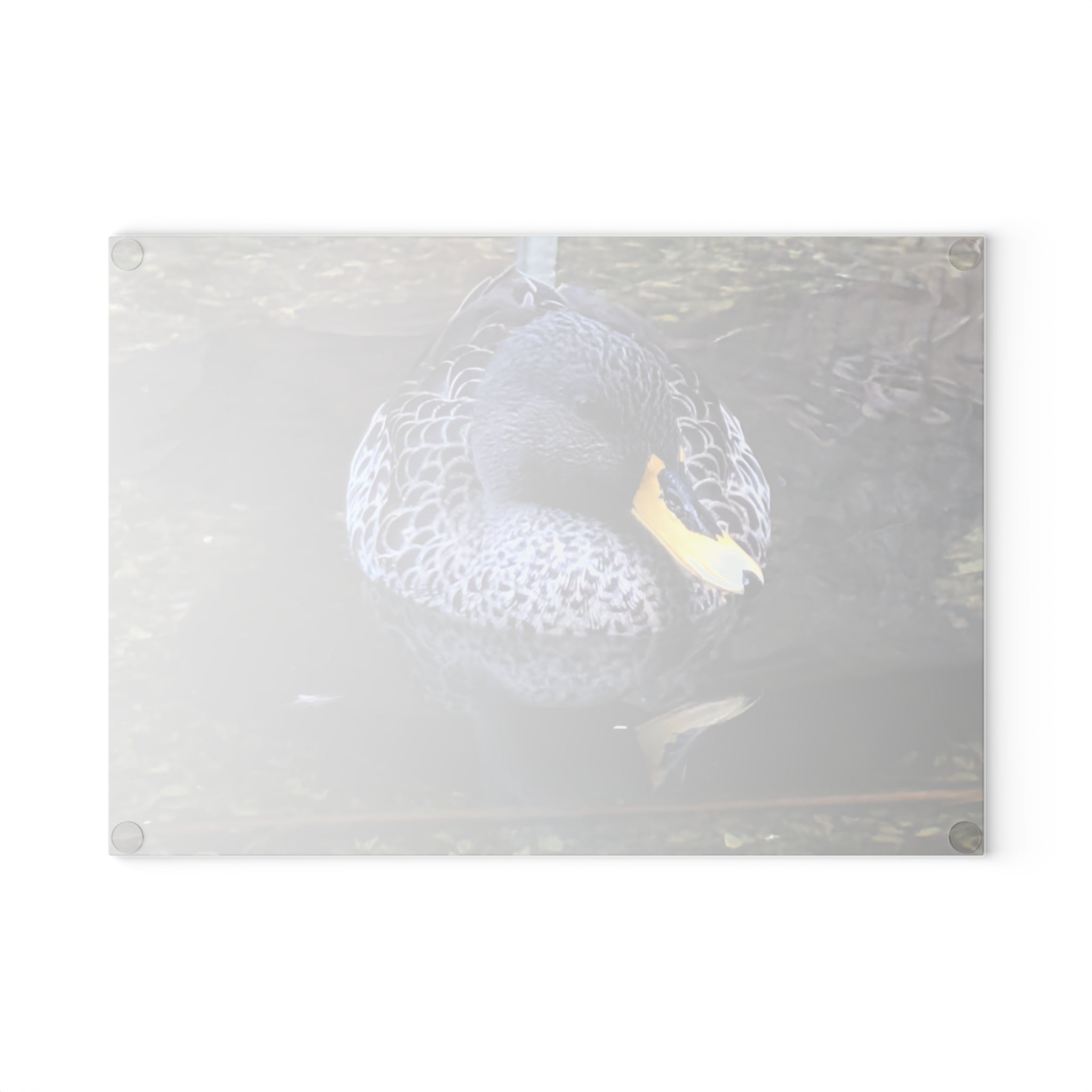 Duck Nature Photography Glass Cutting Board — Wildlife Kitchen Decor, Tempered Glass Chopping Board, Bird Lover Gift