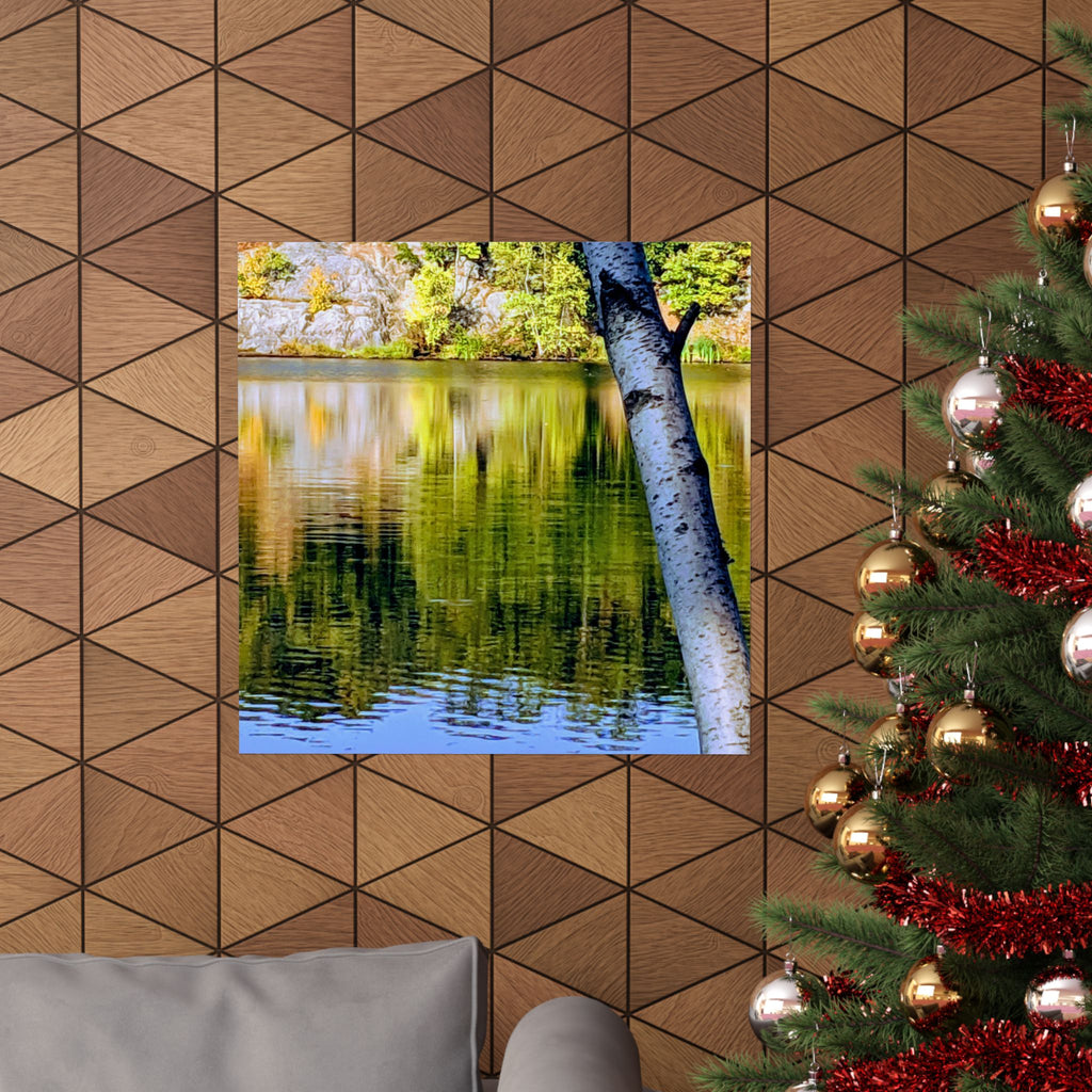 Birch Lake Reflection Matte Poster — Vertical Nature Wall Art