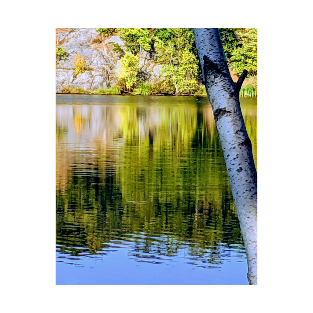 Birch Lake Reflection Matte Poster — Nature Photography Wall Art, Woodland Landscape Print, 46 Sizes