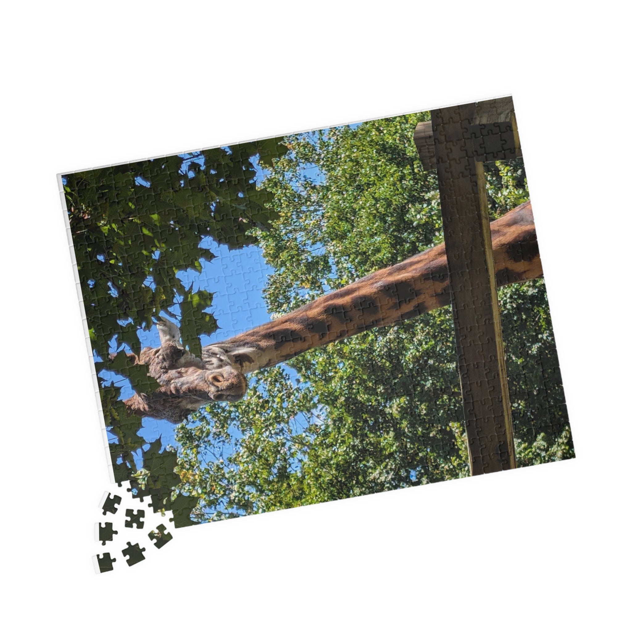 Giraffe Nature Photo Jigsaw Puzzle — Wildlife & Floral Photography Gift Set (110, 252, 520, 1014-piece)