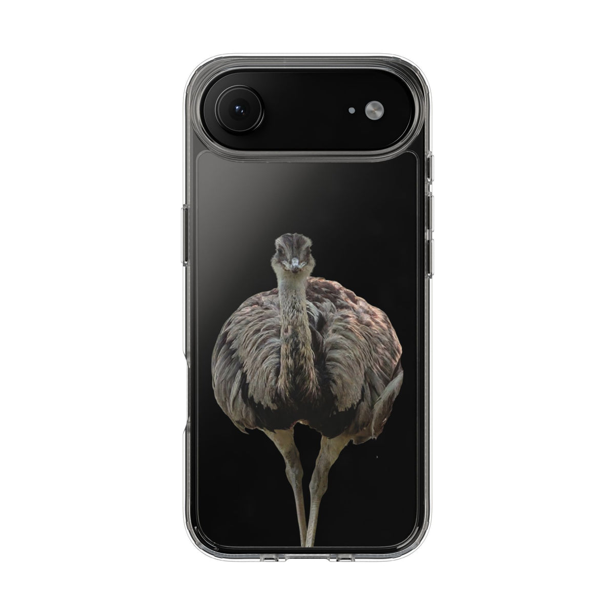 Clear Emu Bird iPhone Case — Cute Wildlife Nature Photo Design, Impact-Resistant Clear Phone Cover, Bird Lover Gift