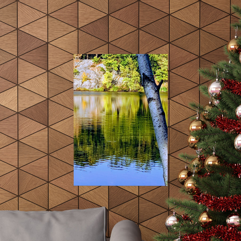 Birch Lake Reflection Matte Poster — Nature Photography Wall Art, Woodland Landscape Print, 46 Sizes