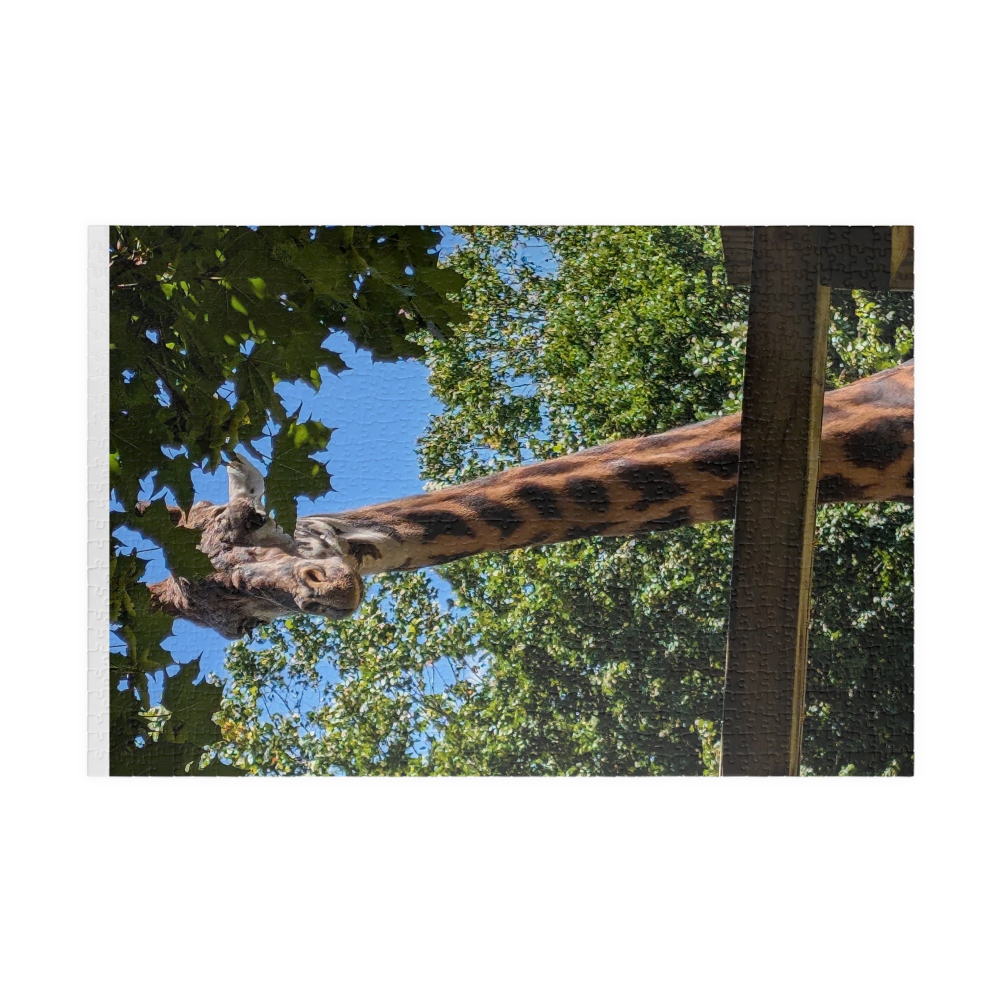 Giraffe Nature Photo Jigsaw Puzzle — Wildlife & Floral Photography Gift Set (110, 252, 520, 1014-piece)