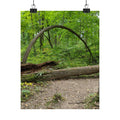 Forest Trail Matte Poster — Green Woodland Nature Photography