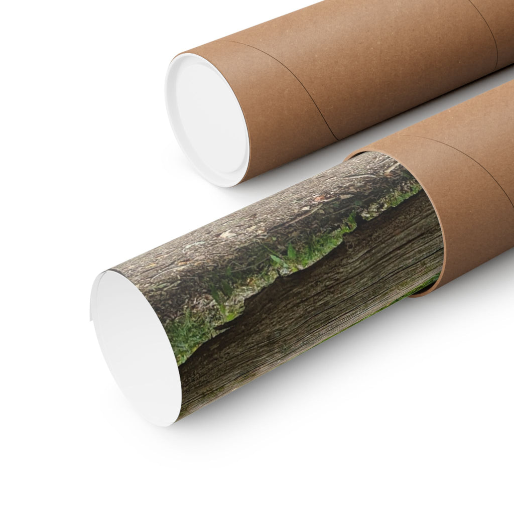 Forest Trail Matte Poster — Green Woodland Nature Photography
