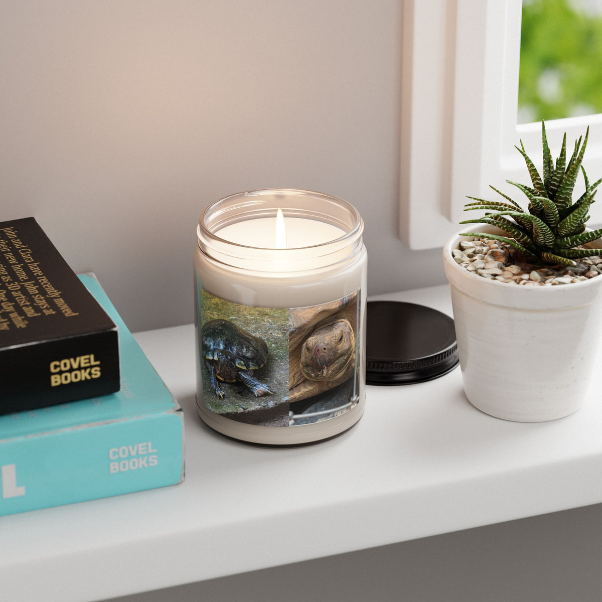 Turtle Photo Scented Soy Candle — Cute Tortoise Wildlife Photo, 9oz Hand-Poured Jar Candle, Turtle Lover Gift