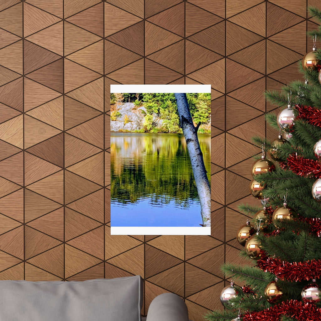 Birch Lake Reflection Matte Poster — Vertical Nature Wall Art