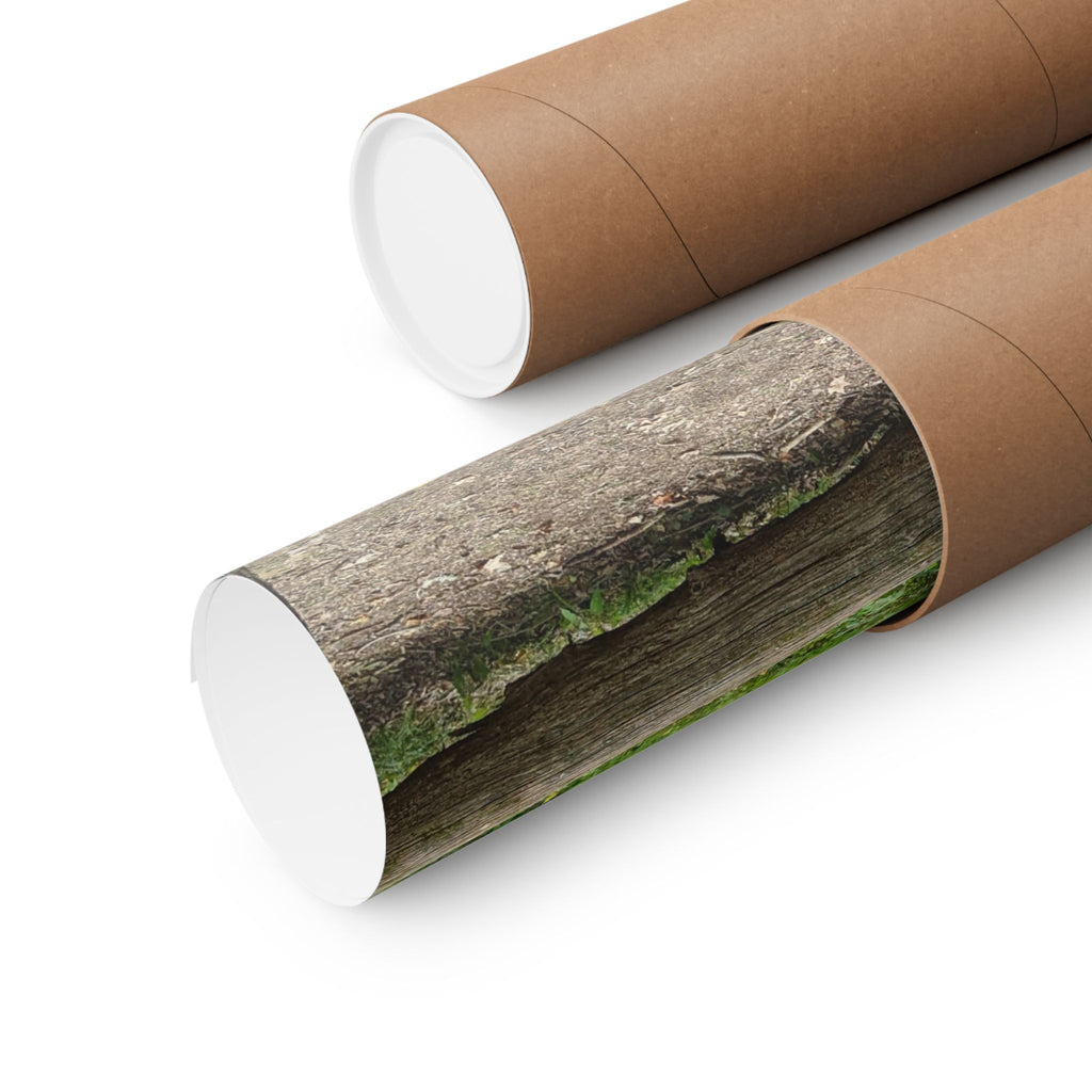 Forest Trail Matte Poster — Green Woodland Nature Photography