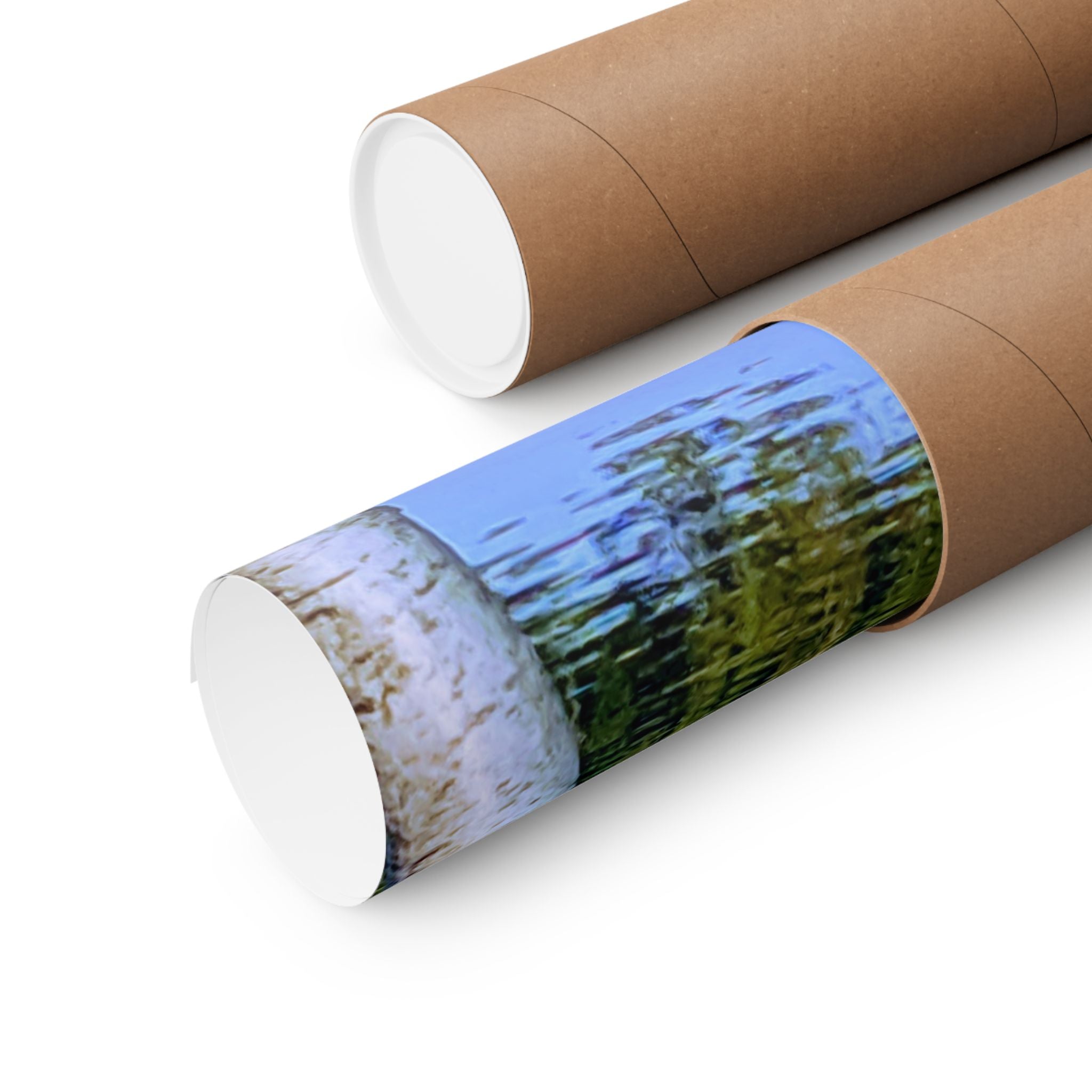 Birch Lake Reflection Matte Poster — Vertical Nature Wall Art