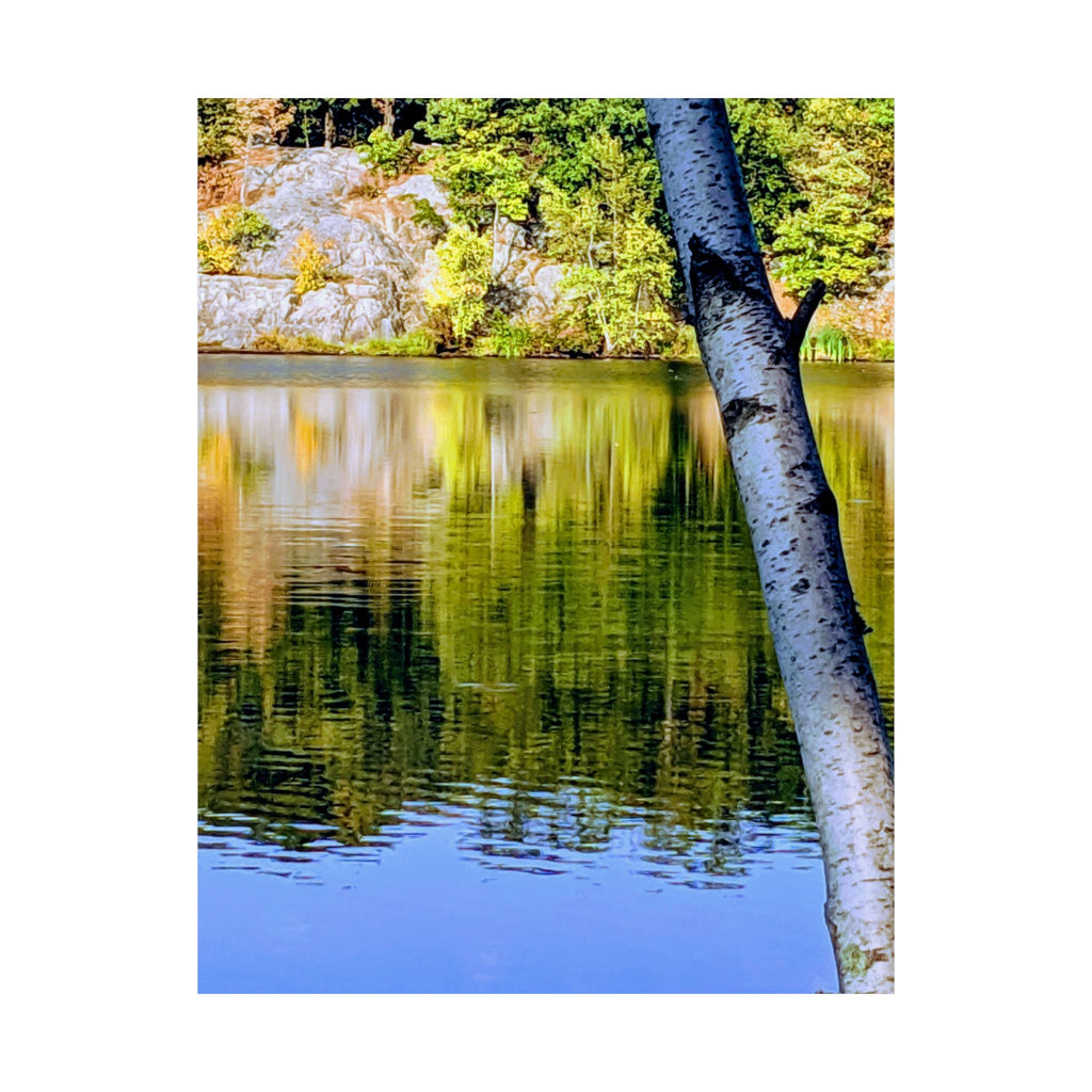 Birch Lake Reflection Matte Poster — Vertical Nature Wall Art