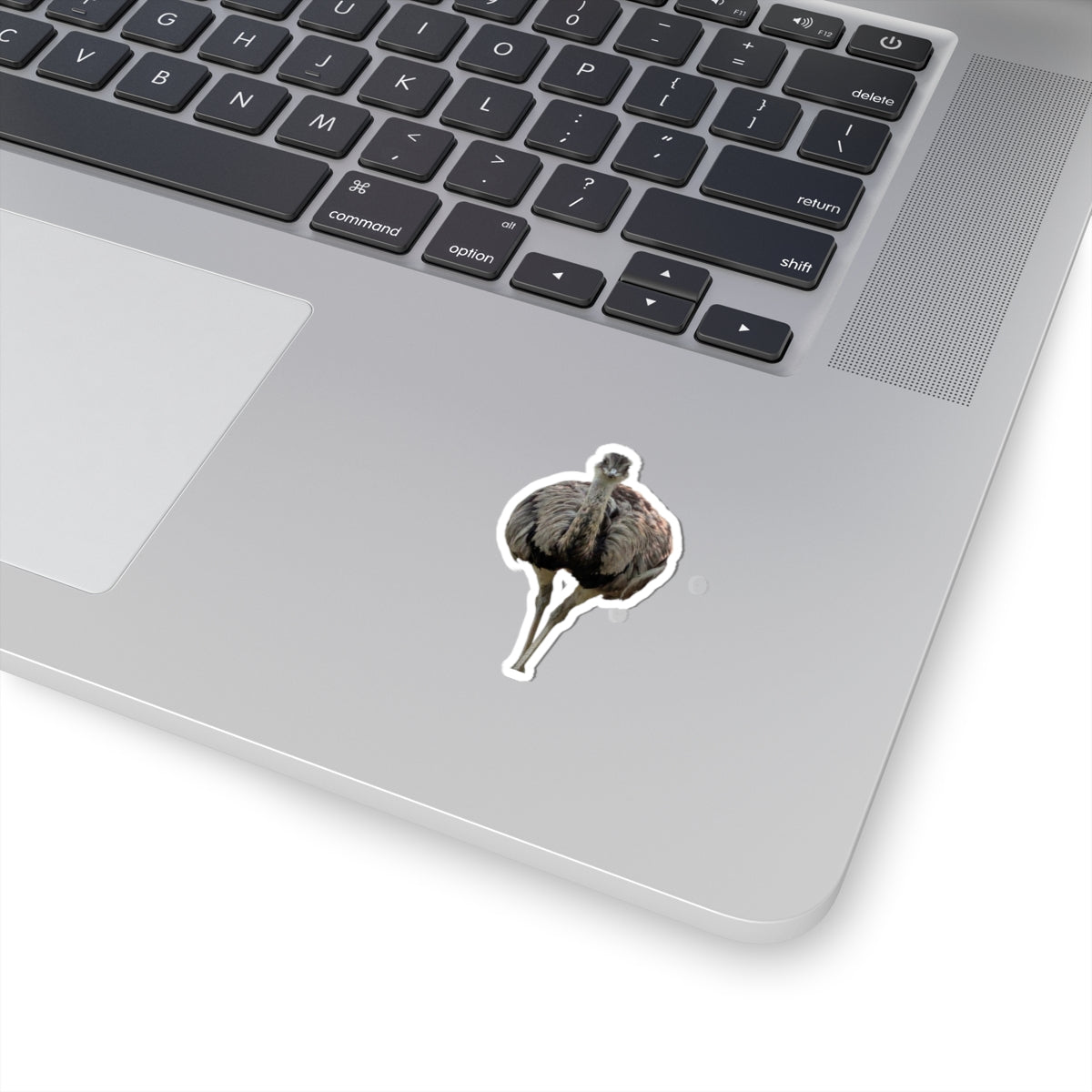 Ostrich Kiss-Cut Sticker — Realistic Bird Laptop Decal