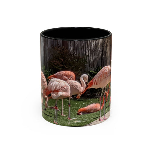 Flamingo Flock Accent Coffee Mug — Tropical Pink Bird Photo (11/15 oz)