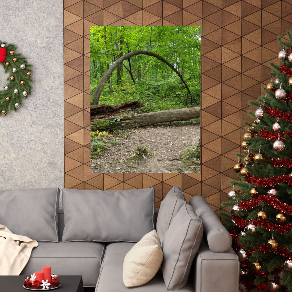 Forest Trail Matte Poster — Green Woodland Nature Photography
