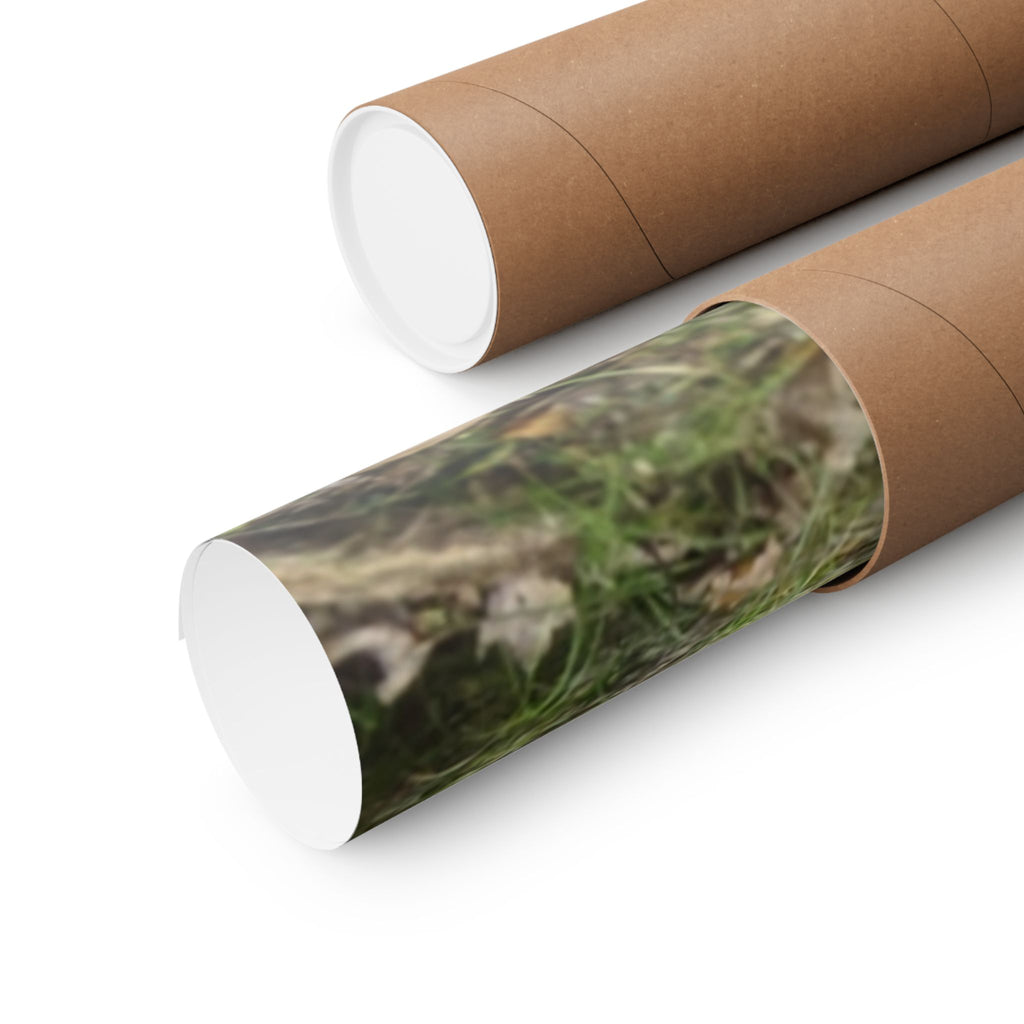 Forest Trail Matte Poster — Green Woodland Nature Photography