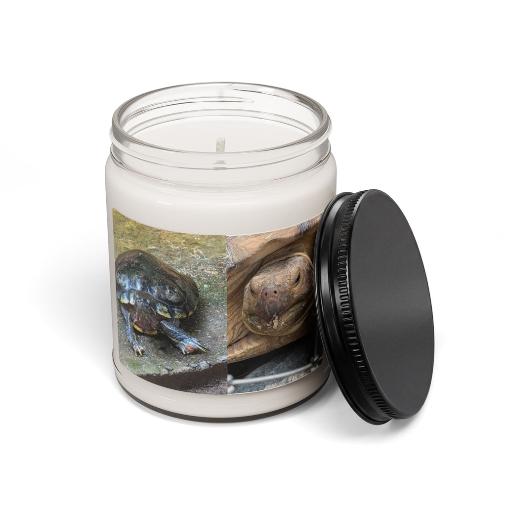 Turtle Photo Scented Soy Candle — Cute Tortoise Wildlife Photo, 9oz Hand-Poured Jar Candle, Turtle Lover Gift