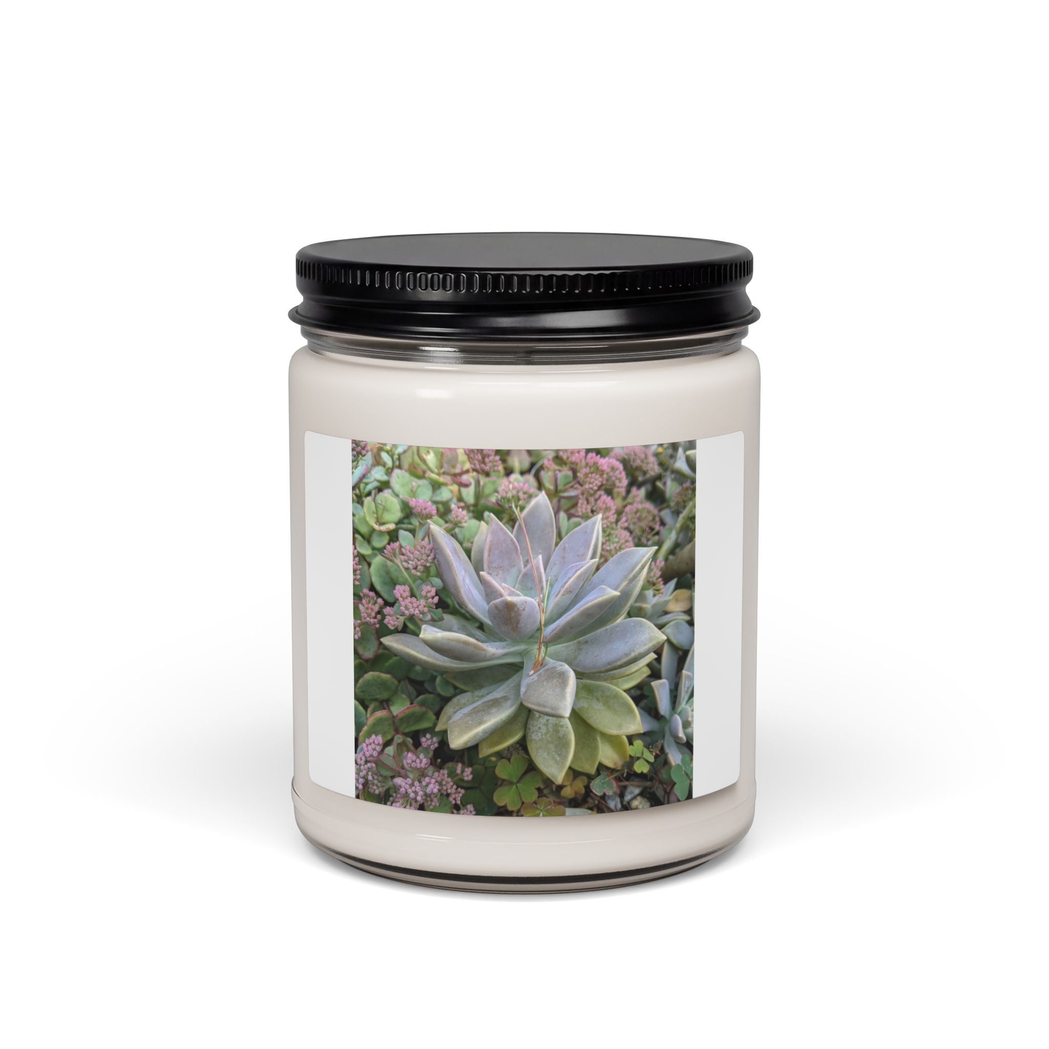 Succulent Nature-Inspired Scented Soy Candle — Wildlife Photo Gift, 9oz