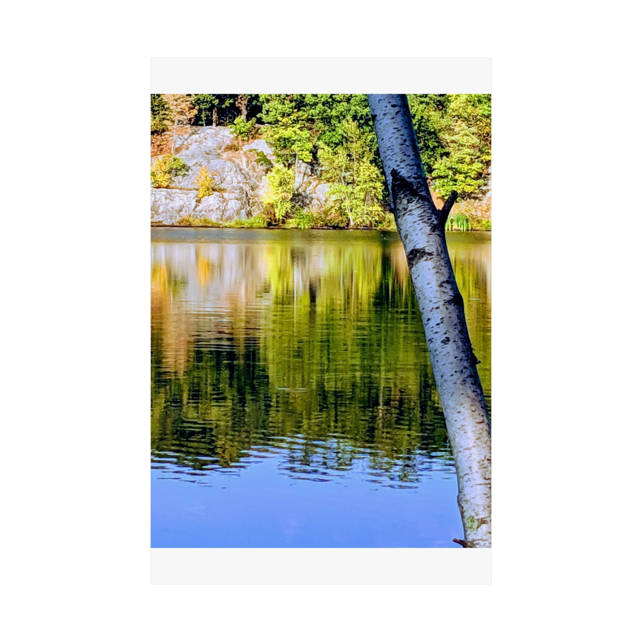 Birch Lake Reflection Matte Poster — Vertical Nature Wall Art