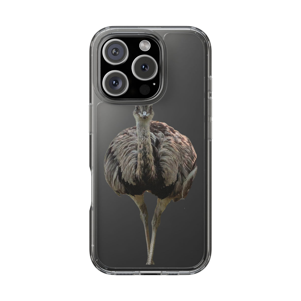 Clear Emu Bird iPhone Case — Cute Wildlife Nature Photo Design, Impact-Resistant Clear Phone Cover, Bird Lover Gift