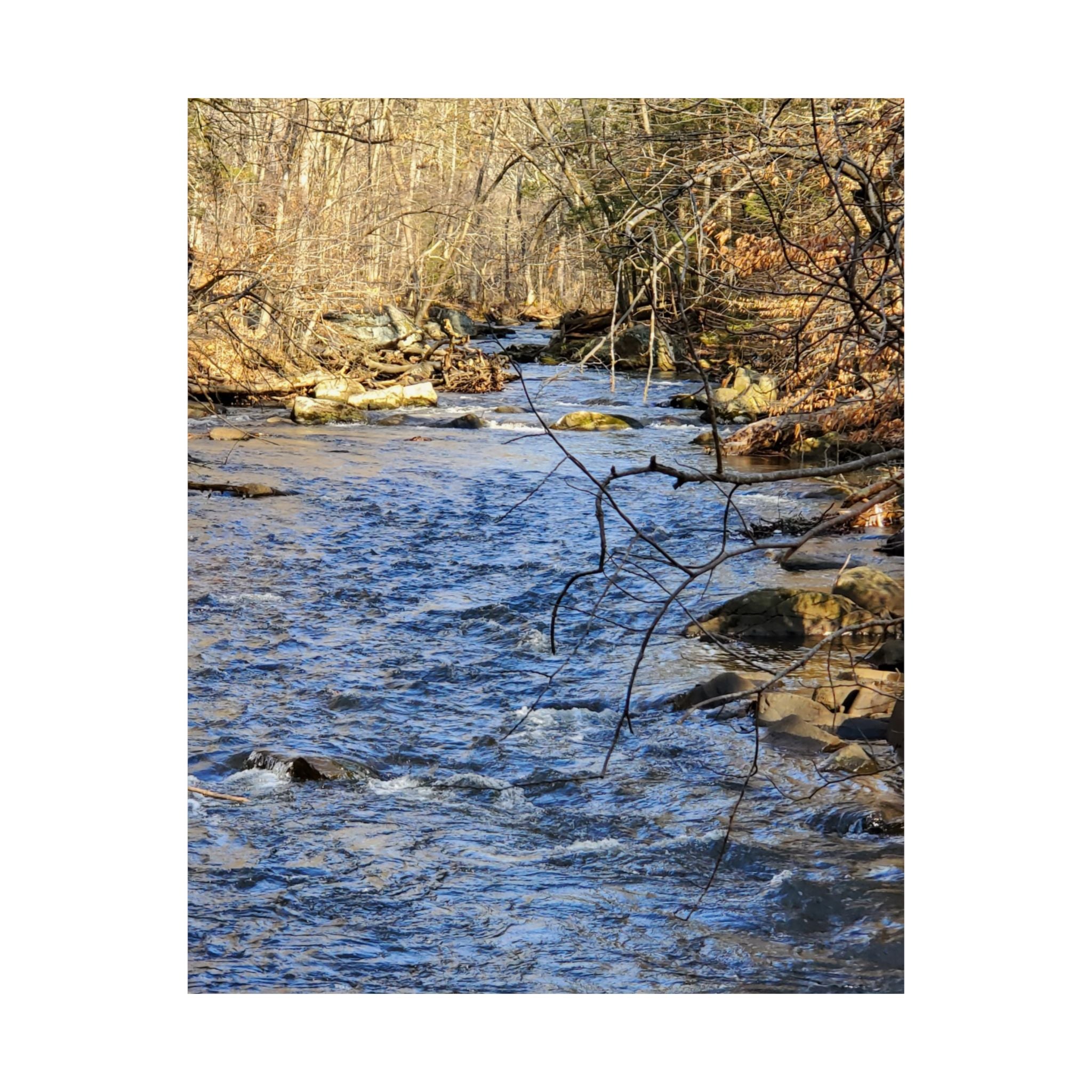 River Stream Nature Poster — Matte Vertical Wall Art for Home & Cabin Décor