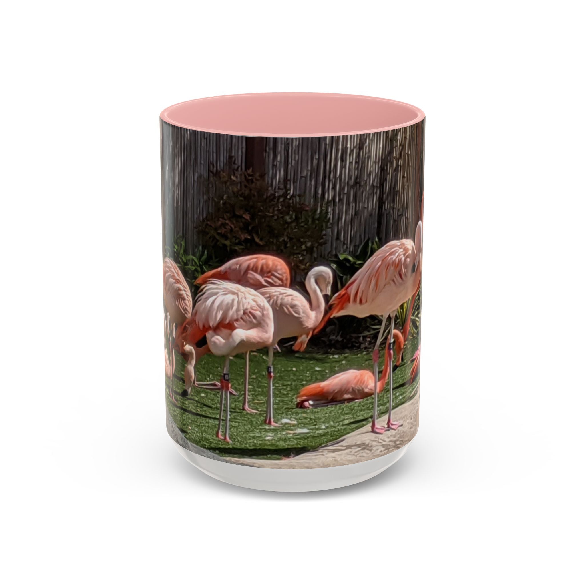 Flamingo Flock Accent Coffee Mug — Tropical Pink Bird Photo (11/15 oz)