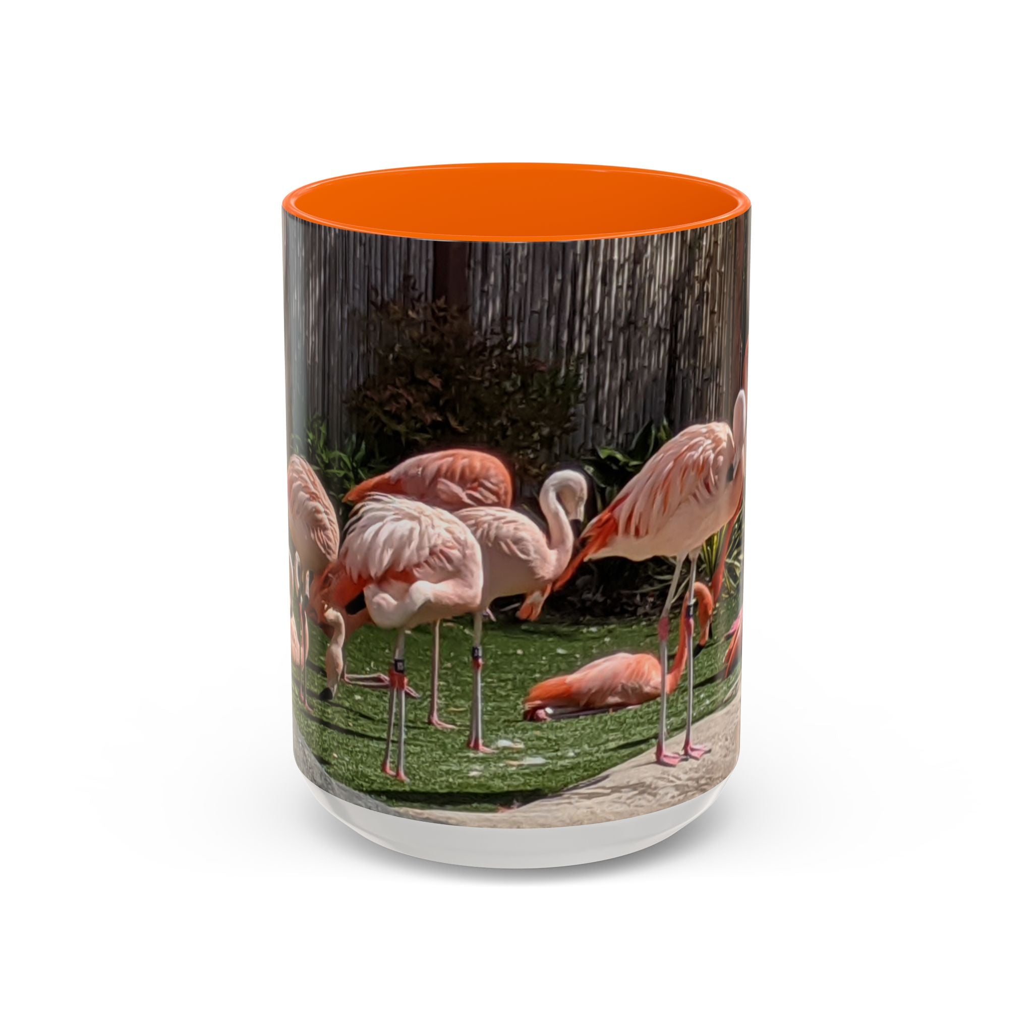 Flamingo Flock Accent Coffee Mug — Tropical Pink Bird Photo (11/15 oz)