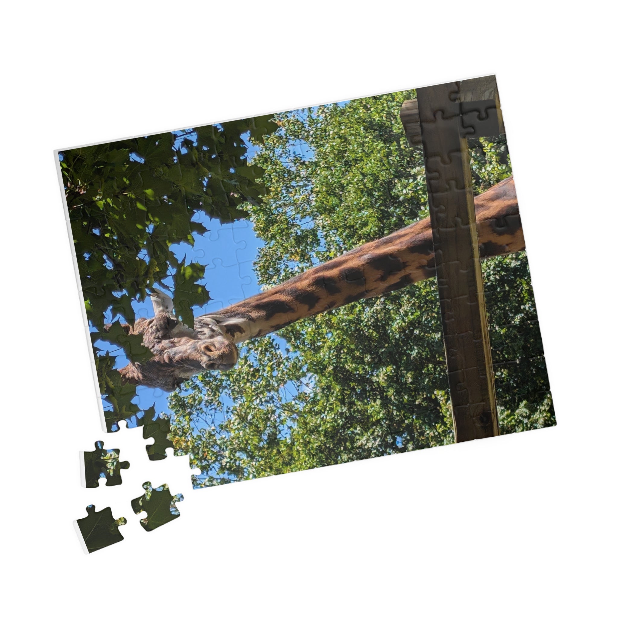 Puzzle (110, 252, 520, 1014-piece)