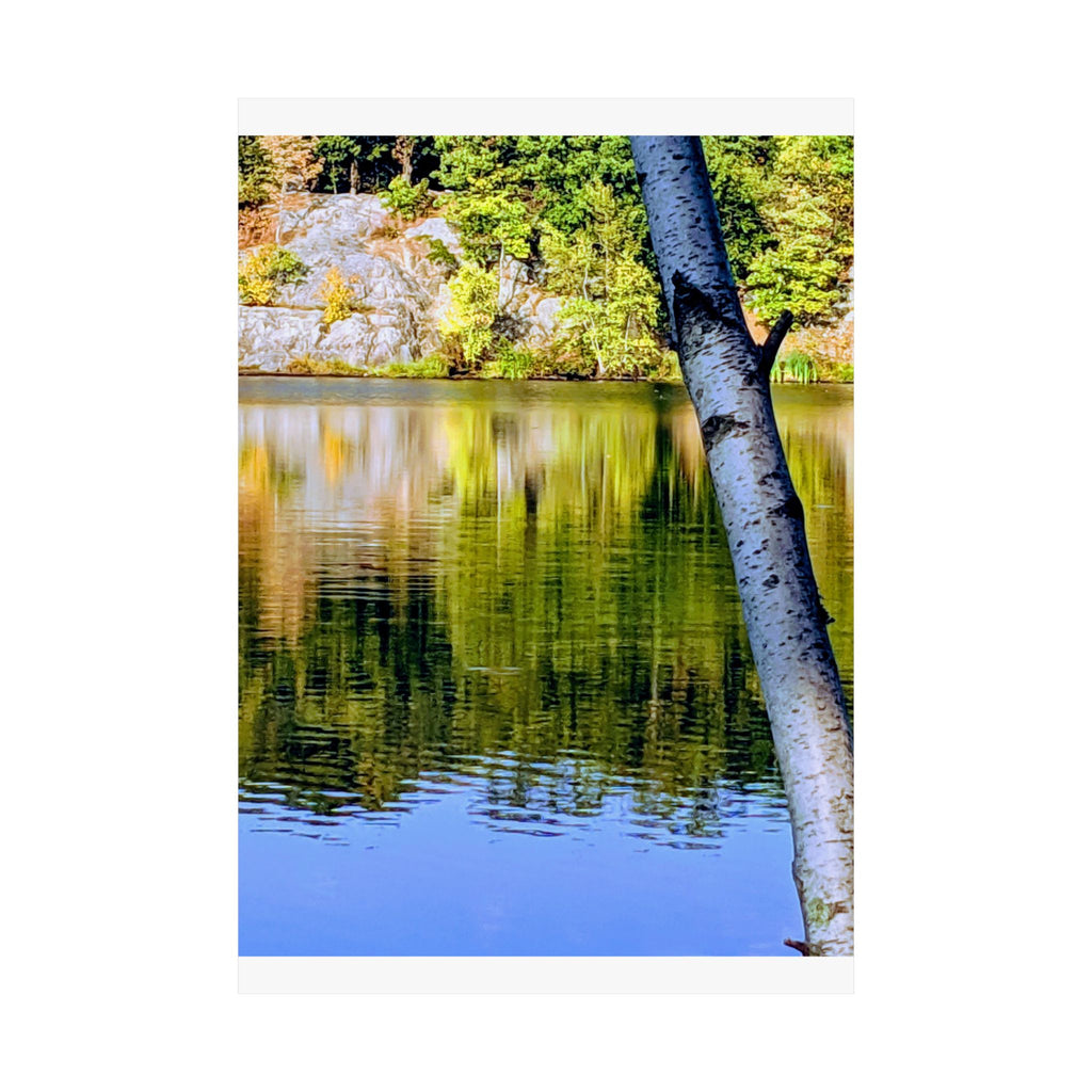 Birch Lake Reflection Matte Poster — Vertical Nature Wall Art