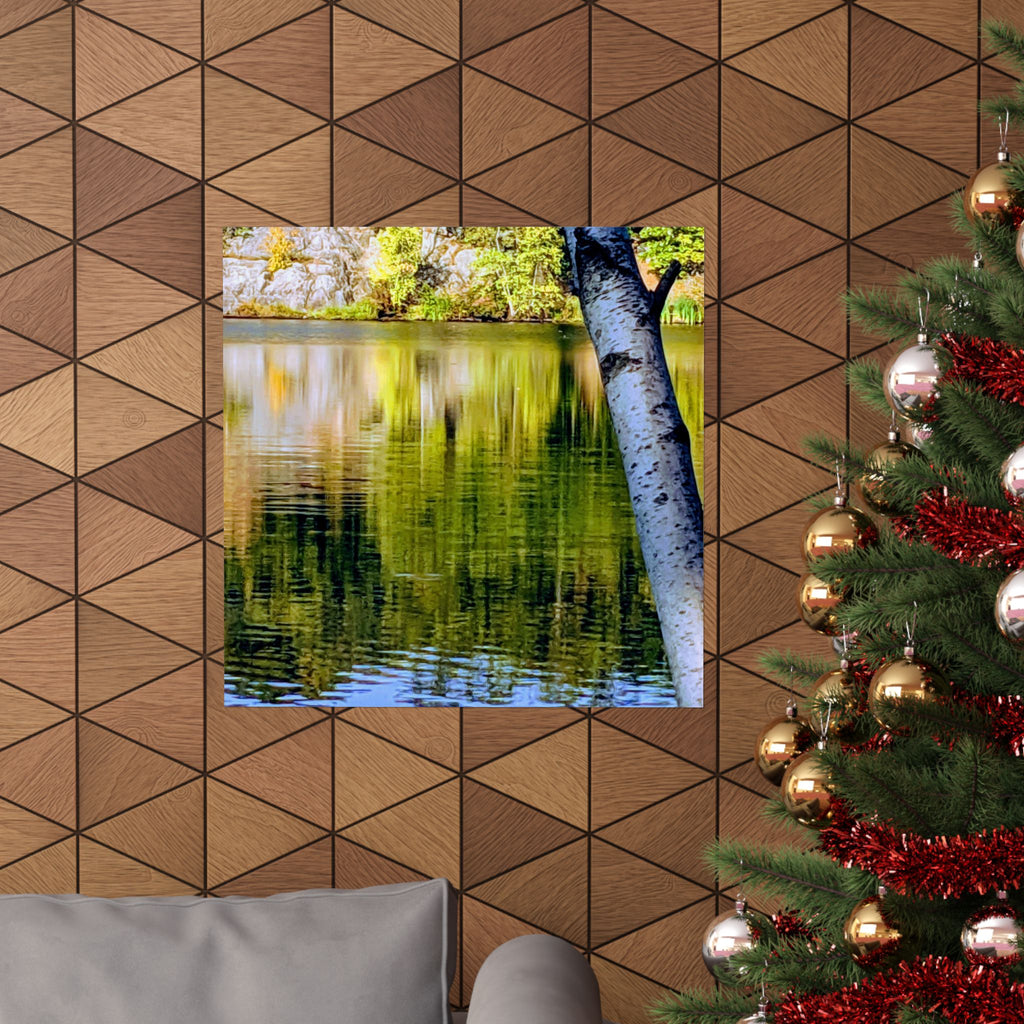 Birch Lake Reflection Matte Poster — Nature Photography Wall Art, Woodland Landscape Print, 46 Sizes