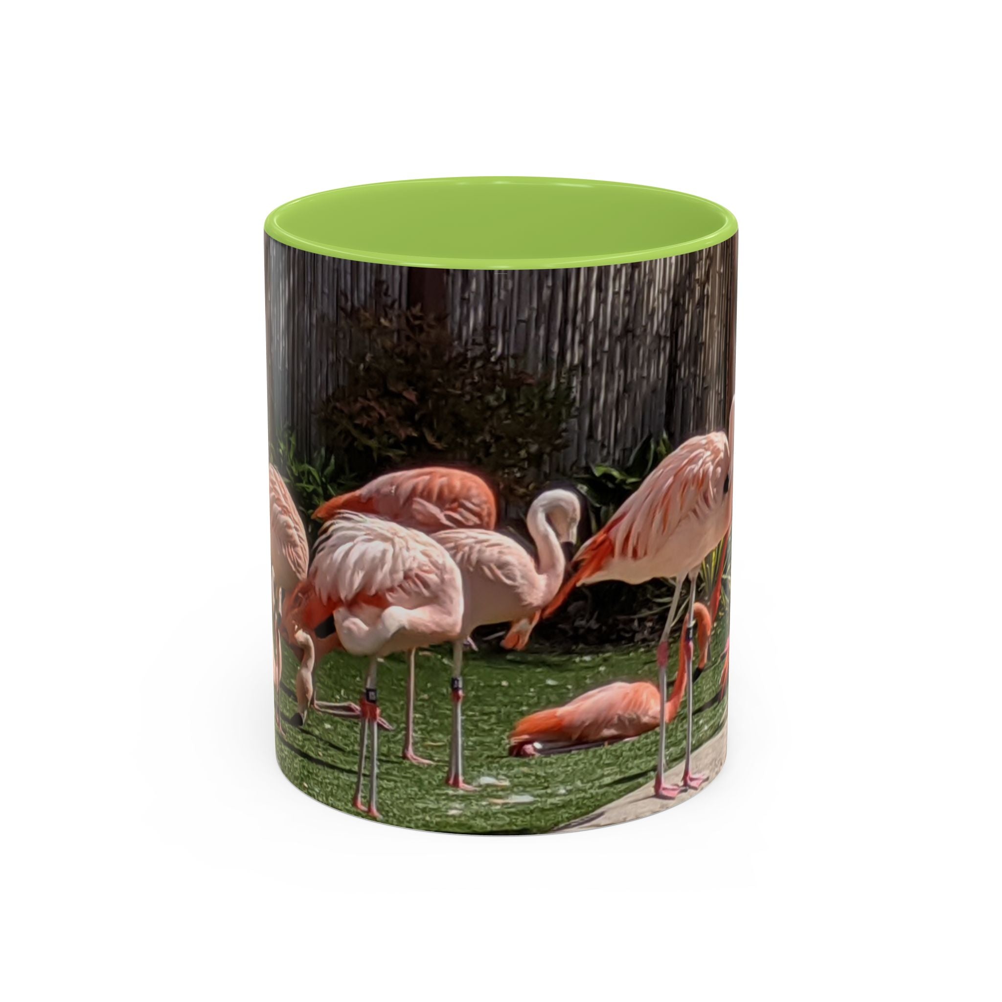 Flamingo Flock Accent Coffee Mug — Tropical Pink Bird Photo (11/15 oz)