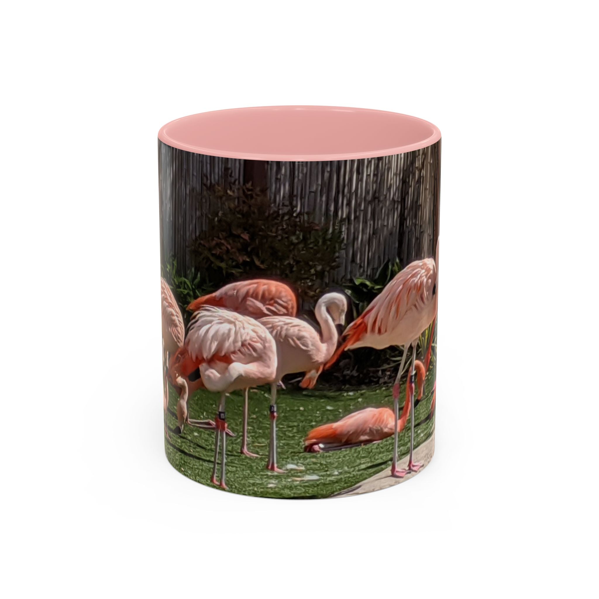 Flamingo Flock Accent Coffee Mug — Tropical Pink Bird Photo (11/15 oz)