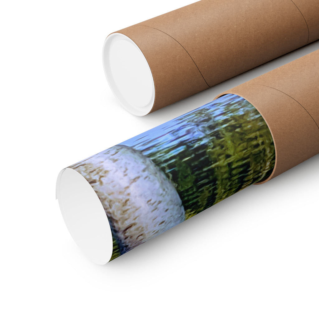 Birch Lake Reflection Matte Poster — Vertical Nature Wall Art